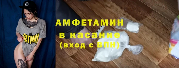 сатива Балахна