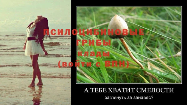 сатива Балахна