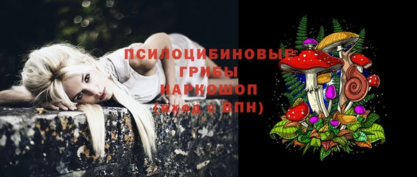 спайс Баксан