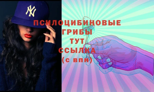 сатива Балахна