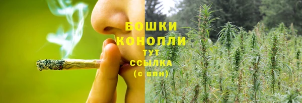 спайс Баксан