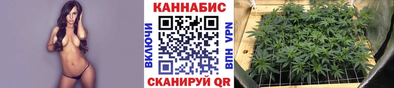 мориарти наркотические препараты  Беслан  Бошки марихуана конопля 